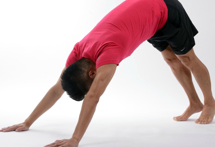 Le catene muscolari,l’importanza di avere un corpo elastico in un mondo flessibile